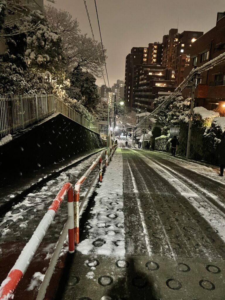 東京初雪⁈⛇